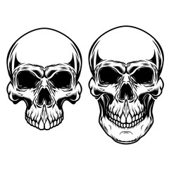 Human skulls isolated on white background. Design elements for logo, label, emblem, sign. Vector illustration