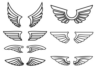 Set of wings icons. Design elements for logo, label, emblem, sign.