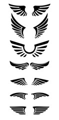 Set of wings icons. Design elements for logo, label, emblem, sign. © liubov