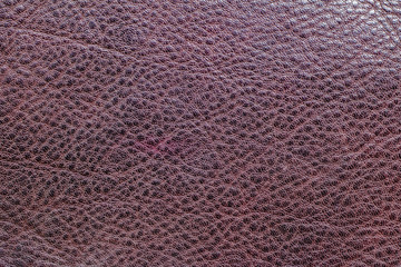 Close up of brown leather texture. Abstract background
