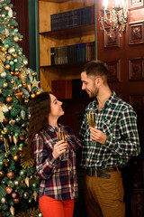 Beautiful young couple is holding glasses of champagne and smiling while celebrating at home