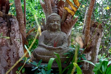 Fototapeta na wymiar buddha in forest
