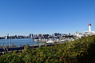 Fototapeta premium 青海 港湾と高層ビル群