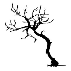 Hand drawn black tree isolated on white background. Branches of small plant on vector illustration. Simple gray sketch. - obrazy, fototapety, plakaty