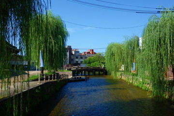 Shirakawa canal/river in Kyoto, Japan.