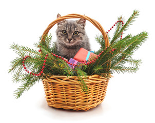 Kitten with Christmas tree.