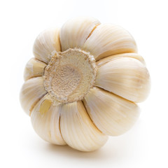 Garlic isolated on the white background.