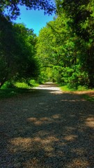 Path to nowhere