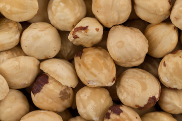 Hazel nuts close up