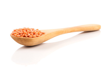 Red organic lentils
