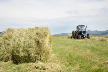 hay harvesting