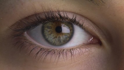 Close-up of woman's eye