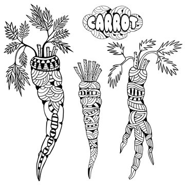 Carrots. Doodle and zentangle style. Hand drawn coloring book. Vector illustration.