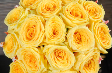 yellow rose close-up. Bouquets of roses