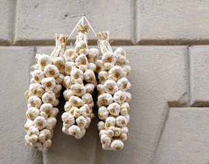 Close up of dried garlic 