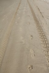 Tracks in the sandy beach of Sunshine Coast in summer in Queensland, Australia 