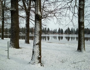Winterlandschaft - verschneite B&auml;ume am See - Schneefall