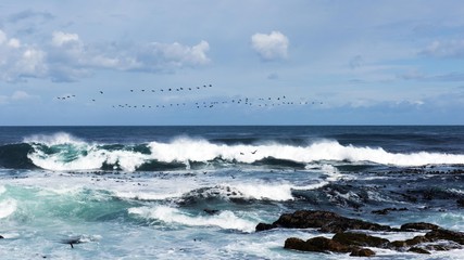 Fototapeta na wymiar Ocean storm. Sea water and wave.