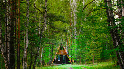 Lonely cottage in a cozy forest