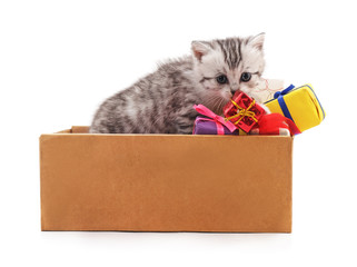 Cat in the box and gifts.