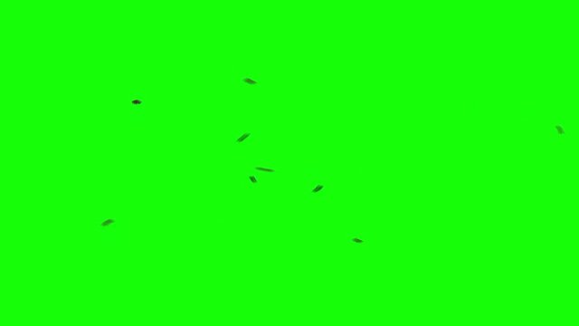 Swarm of 3 Flies Circling on Chroma Key Green Background