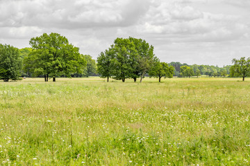 Fototapeta premium rural scenery in Hohenlohe