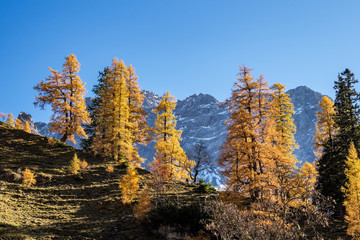 Österreich - Tirol - Herbst im großen Ahornboden