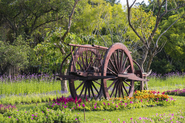 A wooden cart is in the middle of the flower garden.