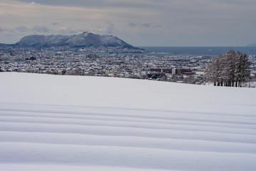 Fototapeta na wymiar 雪化粧した函館の街