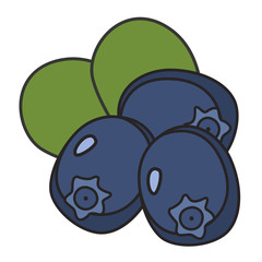 berry flat icon