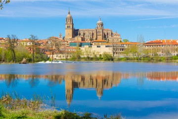Fototapeta na wymiar View of the cathedral of Salamanca reflected in the river, spain