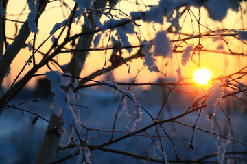  Winter sunset with hoarfrost