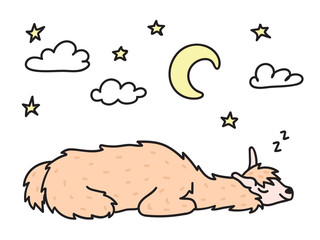 Vector illustration. Cute character lama