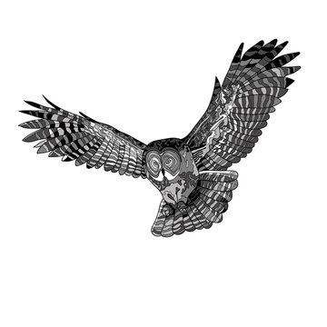 Vector illustration, an image of a flying owl. Black and white and gray illustration.