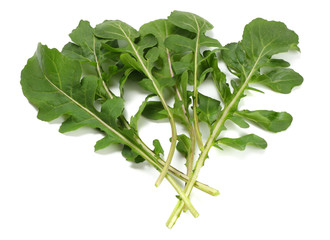 green fresh rucola leaves isolated on white background. Rocket salad or arugula.