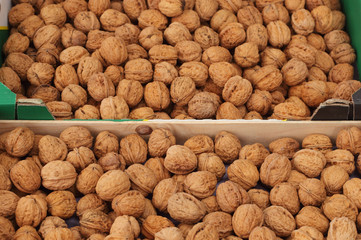 Walnuts in a market