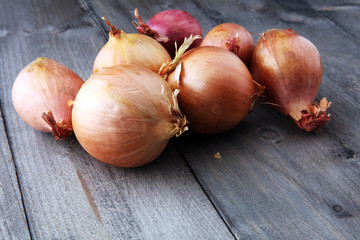 Large onion harvest Bulb onion is rich in vitamins, useful spring.
