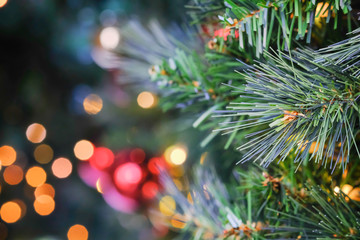 Christmas Tree with light bokeh