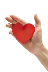 Fototapeta premium red paper heart in hand isolated on white