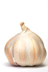 Garlic isolated on white