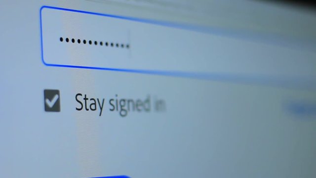 Enter the password for the website in the Internet. Encryption screen With flashing cursor