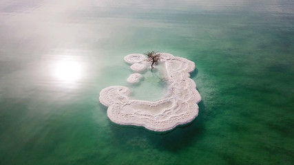 Aerial image of a Bare tree on a salt deposit in the Dead Sea