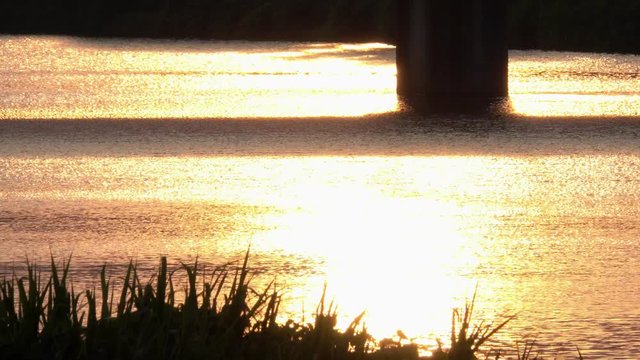 夕方の川面_02-185