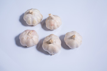 Garlic isolated on white background, Allium sativum isolated on white background