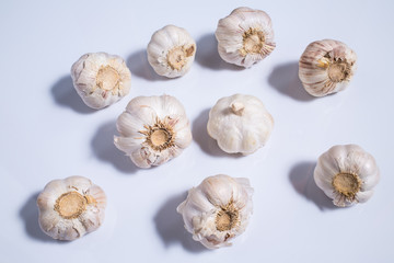 Garlic isolated on white background, Allium sativum isolated on white background