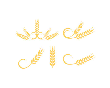 Wheat Food for Bakery Shop Symbol Vector Logo Set