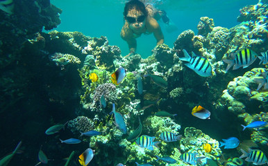 Girl freediver snorkeling mask dive underwater