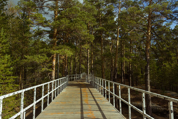 Obraz premium Kazakhstan, Kokshetau resort and forest