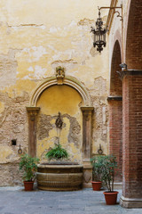 Fototapeta na wymiar A view of the antique fountain in the courtyard decorated with a pulley and a chain of hanging ferns