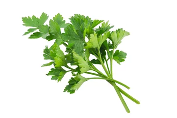 Poster Parsley isolated on a white background © olya6105